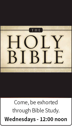 bible